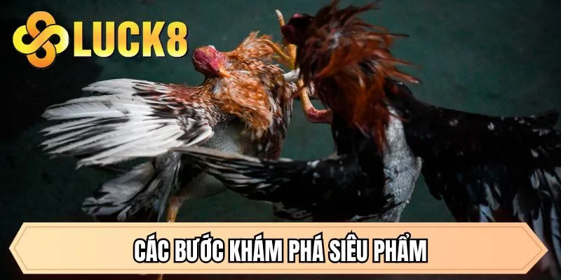 Các bước khám phá siêu phẩm