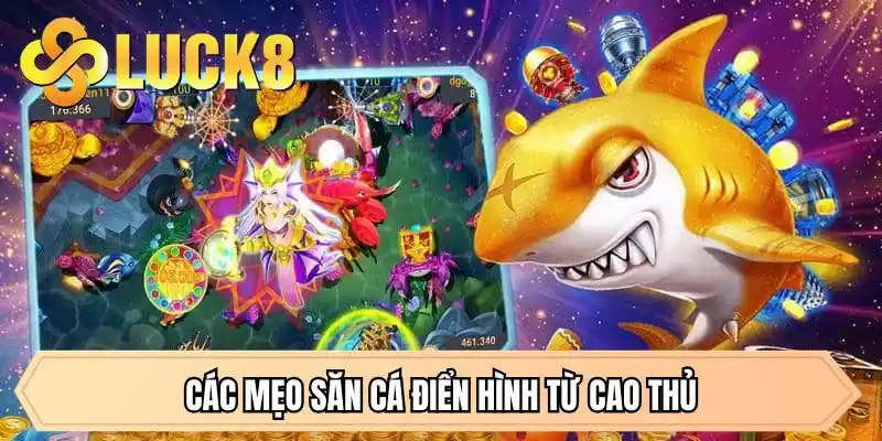 Các mẹo săn cá điển hình từ cao thủ