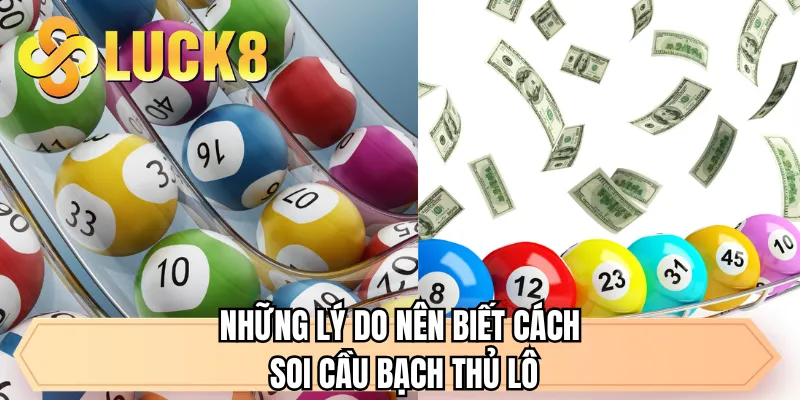 Những lý do nên biết cách soi cầu bạch thủ lô