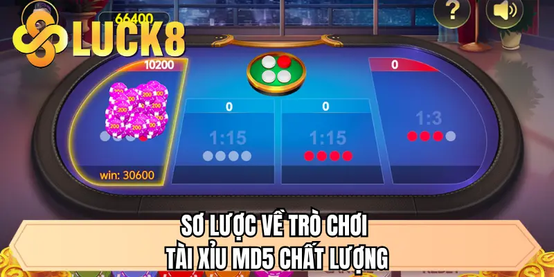 Sơ lược về trò chơi tài xỉu MD5 chất lượng