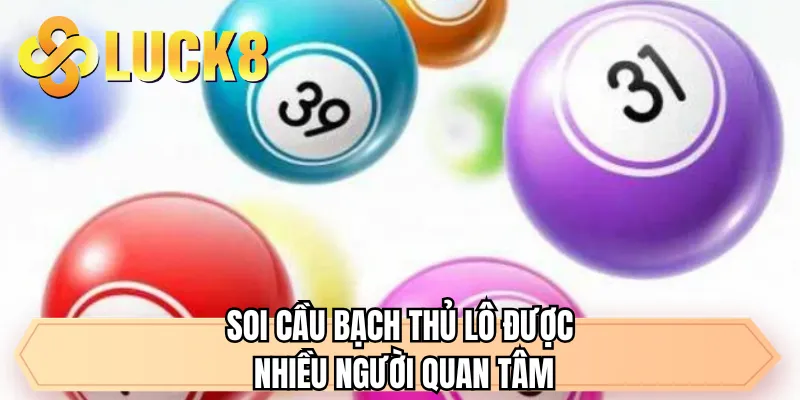 Soi cầu bạch thủ lô được nhiều người quan tâm